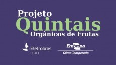 Embrapa realiza 10 cursos e treina 450 pessoas em fruticultura