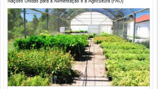 Embrapa tem Projeto selecionado pela FAO.