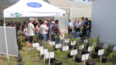 Participação do Projeto Quintais Orgânicos de Frutas no Dia de Campo Alternativas para Diverisificação da Agricultura Familiar