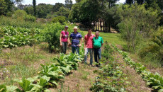 Equipe do projeto realiza assistências técnicas em Santa Catarina e participa do lançamento da Amora-Preta BRS Terena em Vacaria, RS