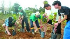 Projeto da Embrapa garante os benefícios da fruticultura